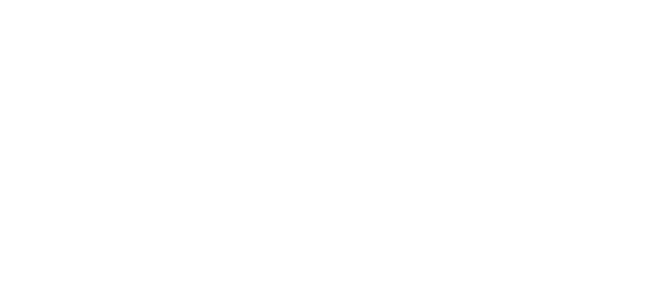 Digi International